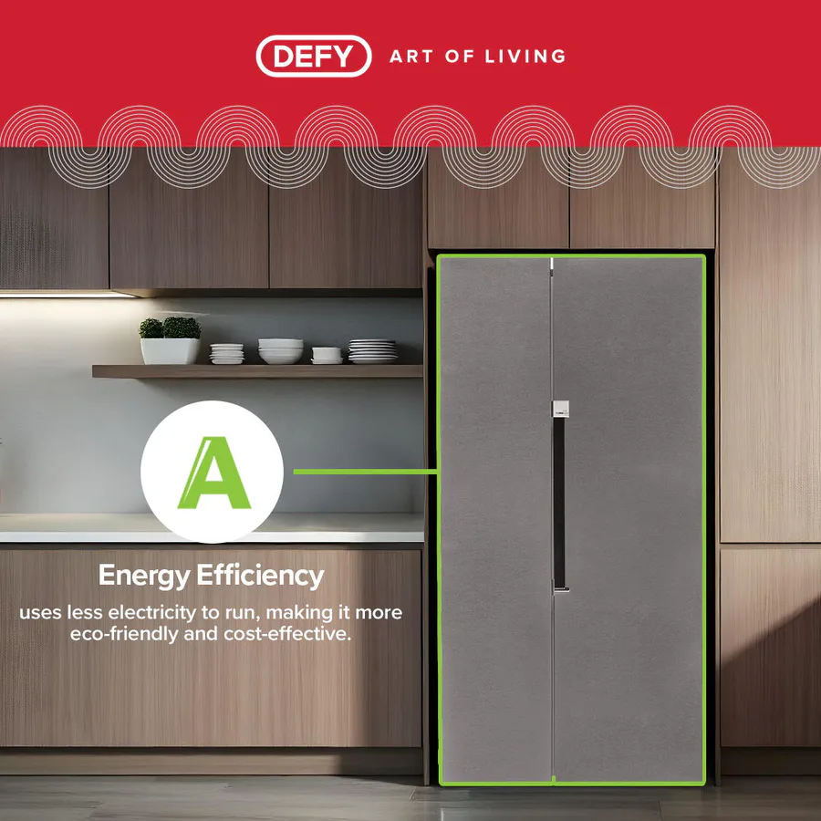 Defy Dff547 555lt Frost Free Side/Side view 5