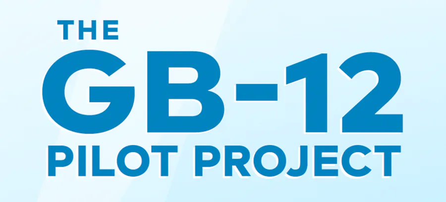 Gb Gb-12" Spl Long Slim Mdf view 4