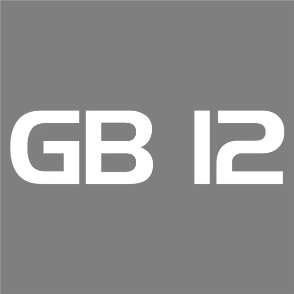 Gb-12" Jumbo Ported Box view 2